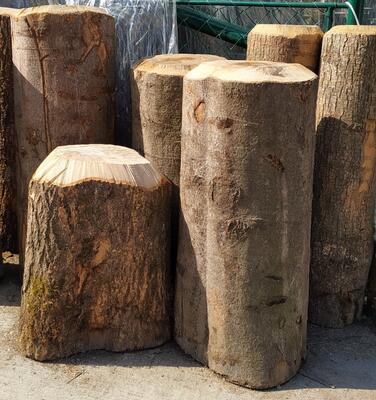 Špalek na štípání palivového dřeva tvrdé pr. 250 - 300mm nízký cca 50 cm výška