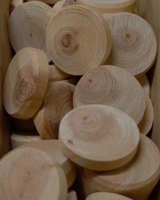 Borovicové suky (větev), 40 x 7 mm, 1 ks