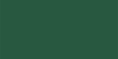 Sokrates colour tmavě zelená 0,7 kg pololesklá - 2